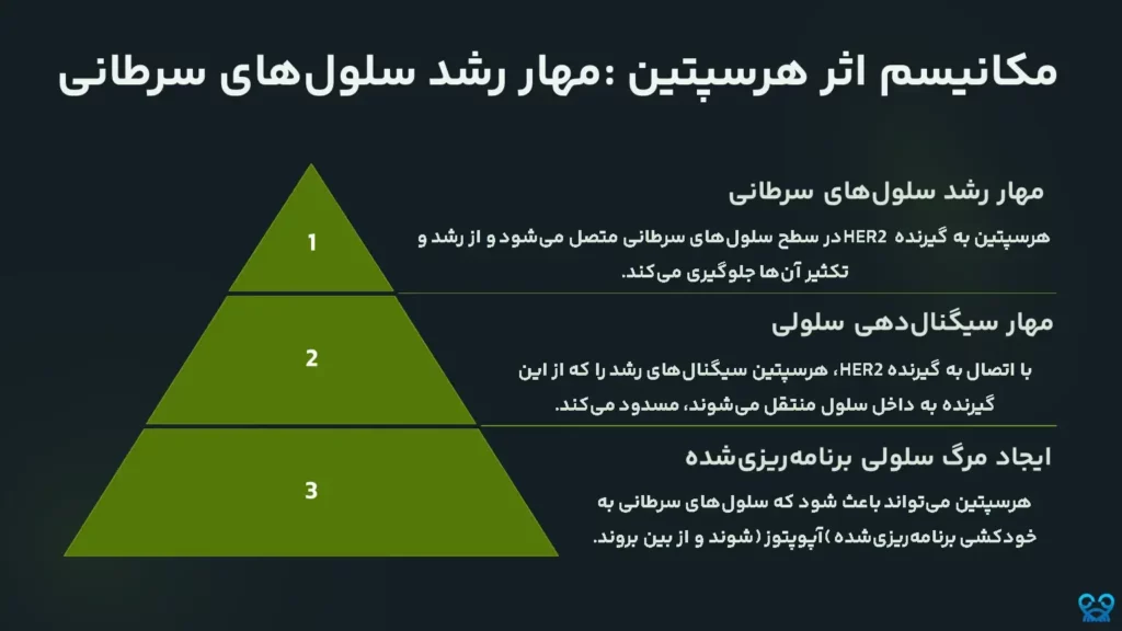 هرسپتین