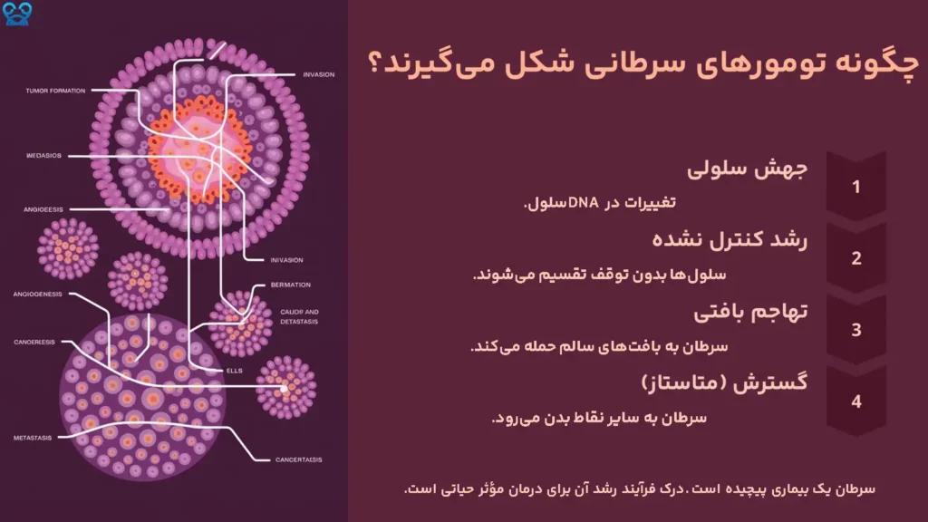 چگونه تومورهای سرطانی شکل می‌گیرند؟ 