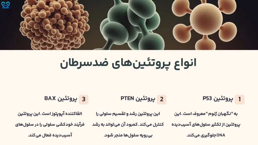 پروتئین‌های ضدسرطان