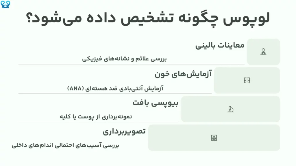 لوپوس چگونه تشخیص داده می‌شود؟