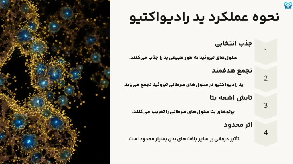 نحوه عملکرد ید رادیواکتیو