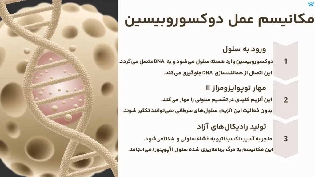دوکسوروبیسین