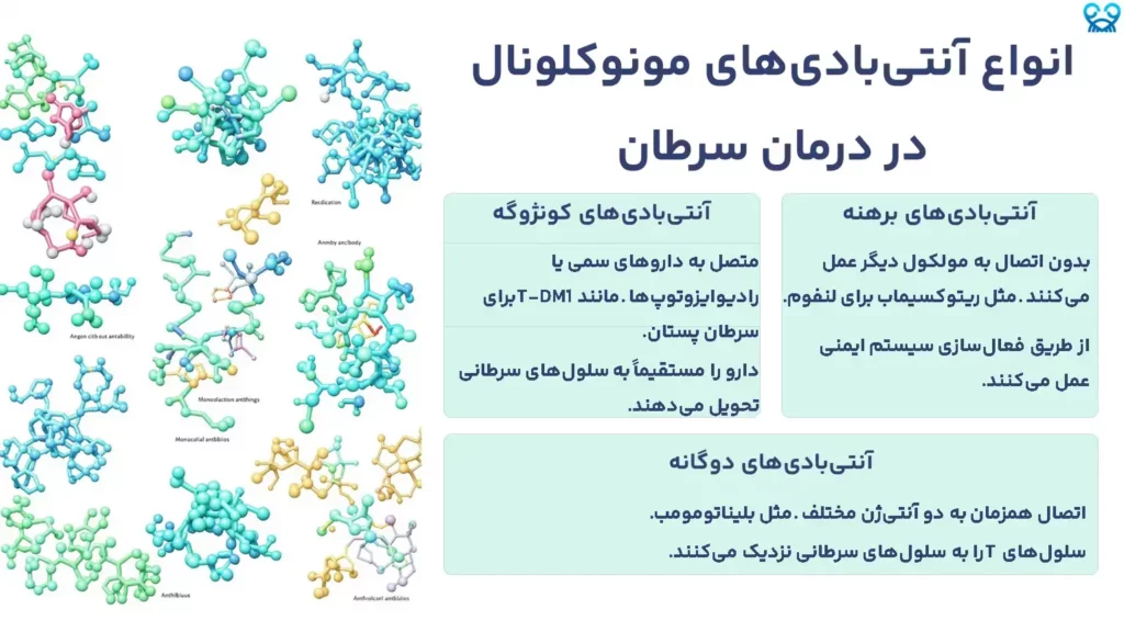 انواع آنتی‌بادی‌های مونوکلونال در درمان سرطان