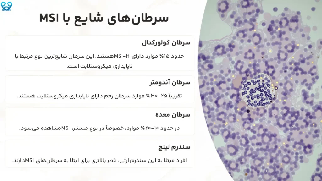 ناپایداری میکروساتلایت (MSI)