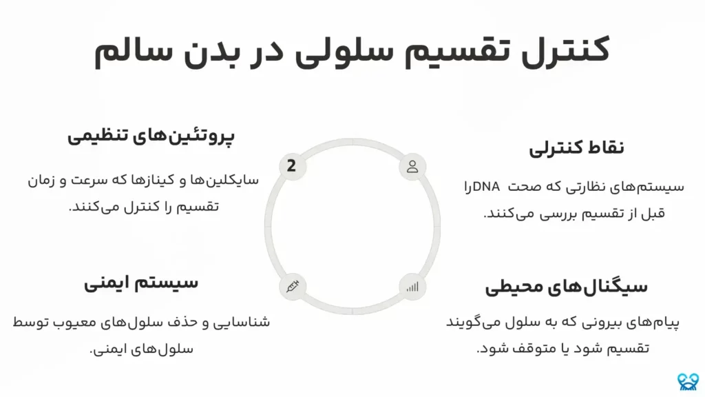 میتوز