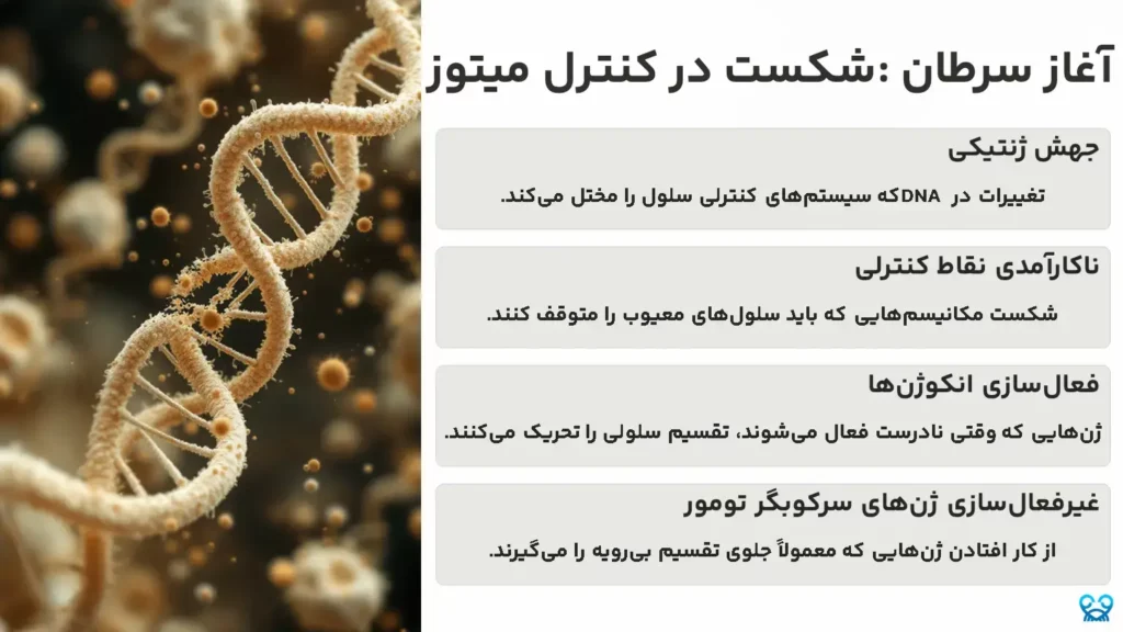 میتوز