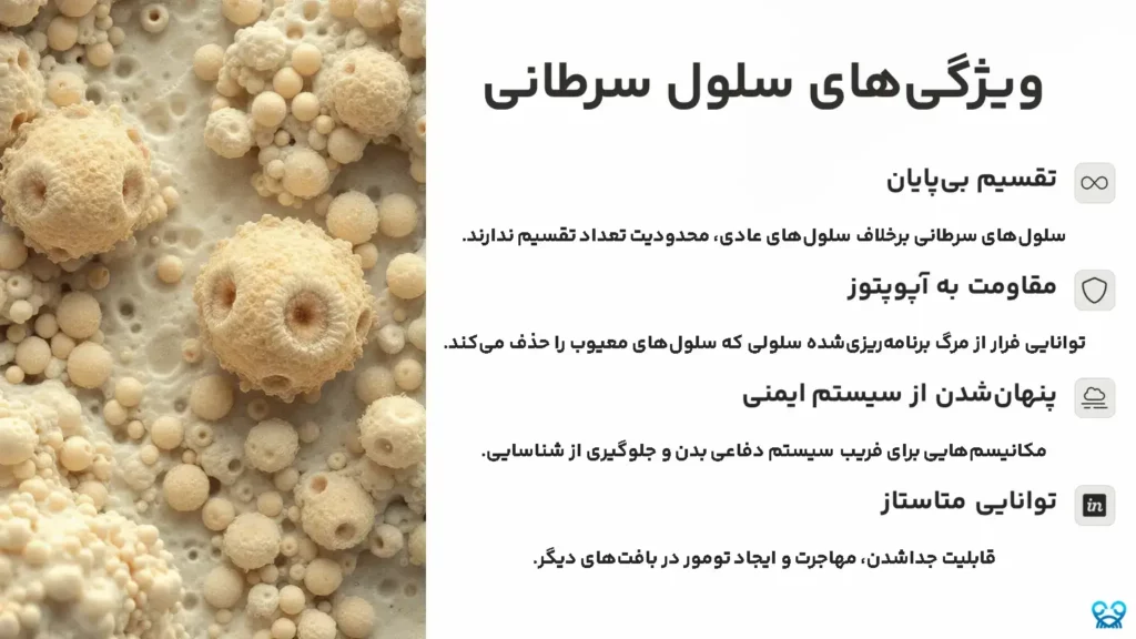میتوز