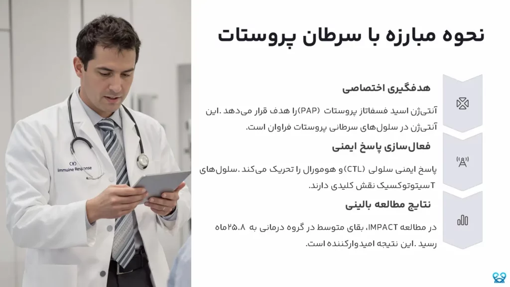 سیپولوسل