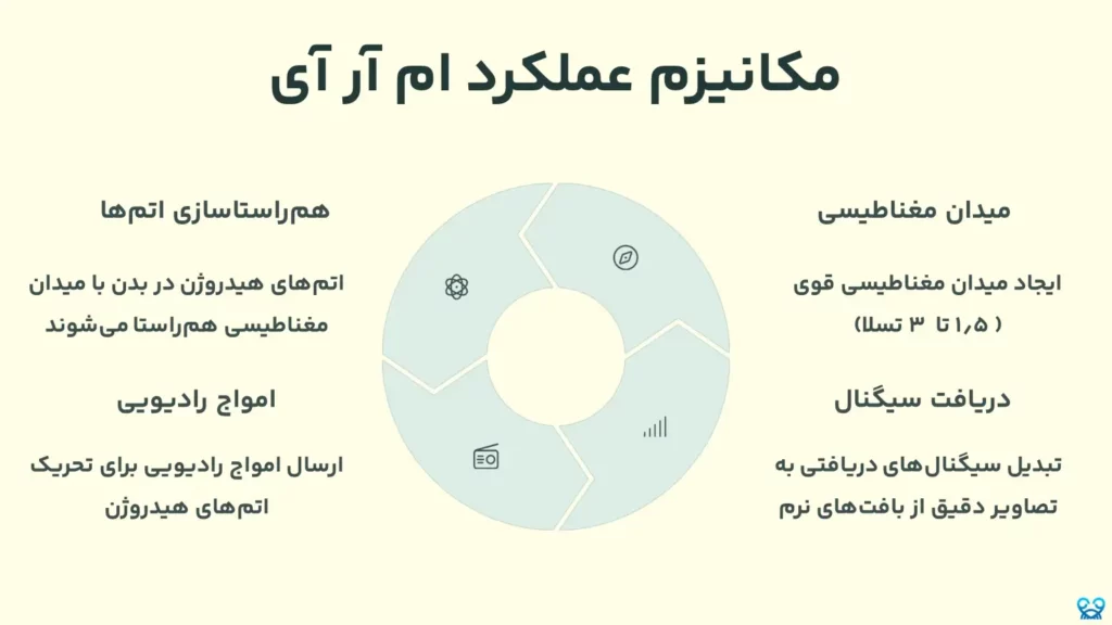 تفاوت بین سی تی اسکن و ام آر آی