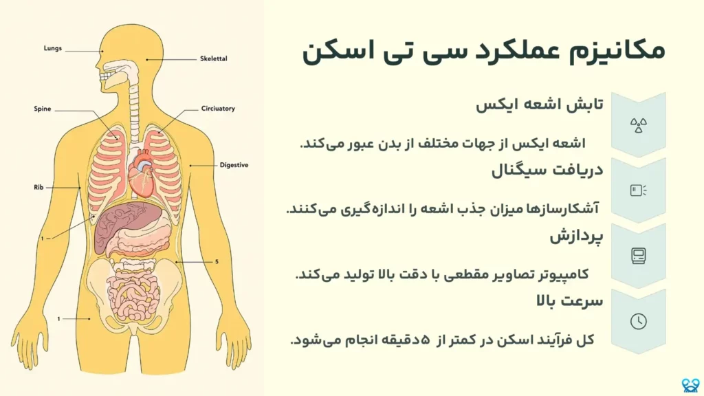 تفاوت بین سی تی اسکن و ام آر آی