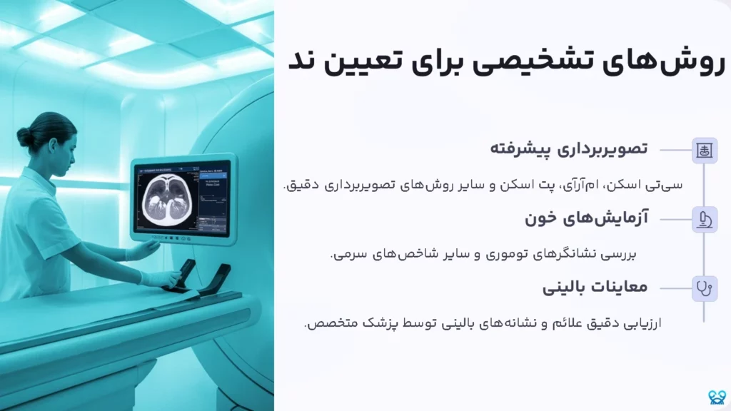 وضعیت NED