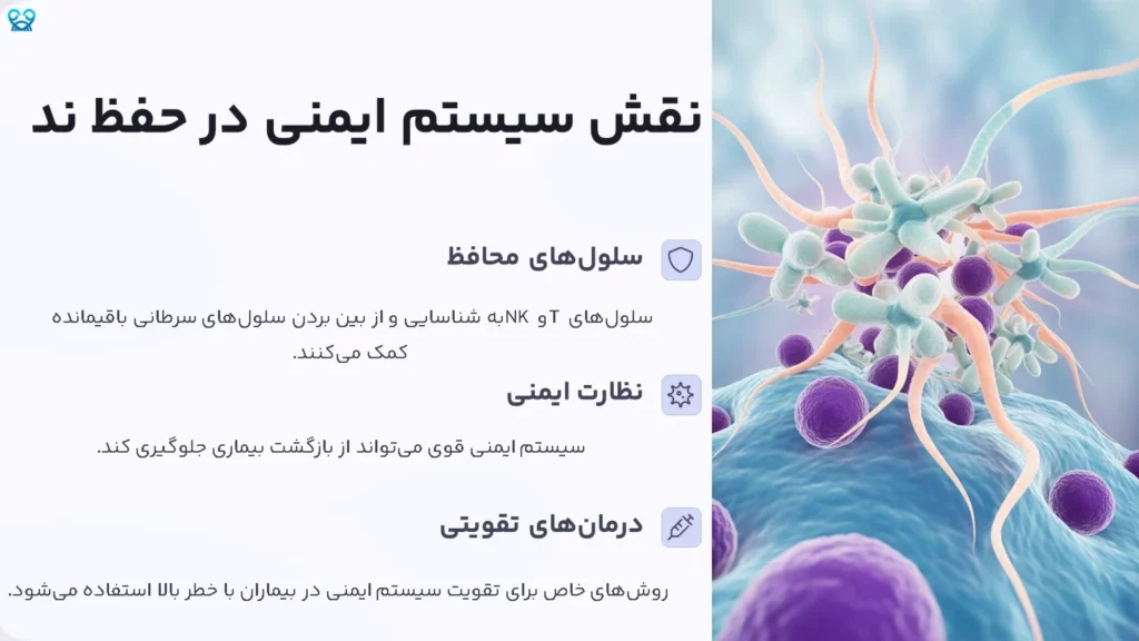 حالت NED
