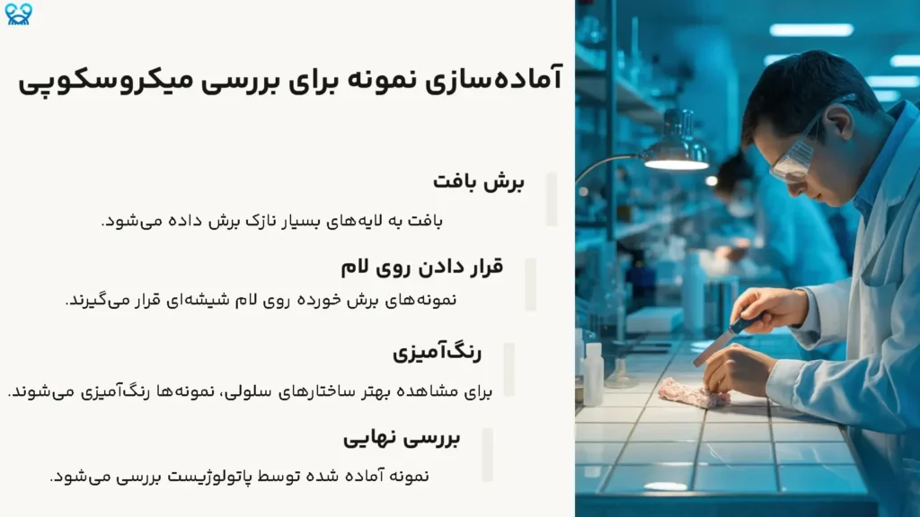 تست میکروسکوپی
