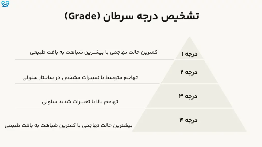 بررسی میکروسکوپی