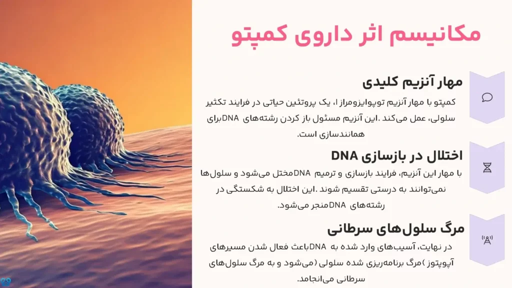کمپتو