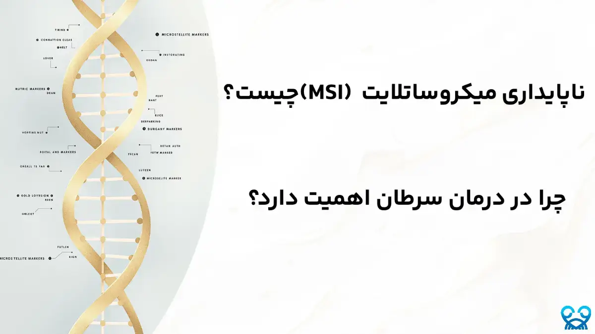 ناپایداری میکروساتلایت (MSI)