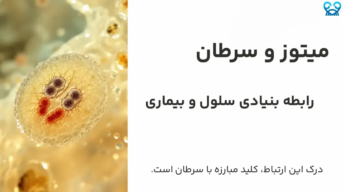 میتوز و نقش آن در بروز سرطان
