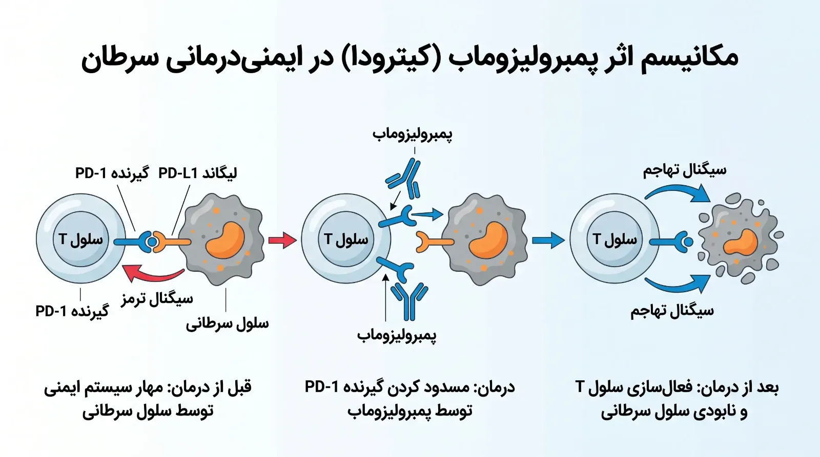 کیترودا