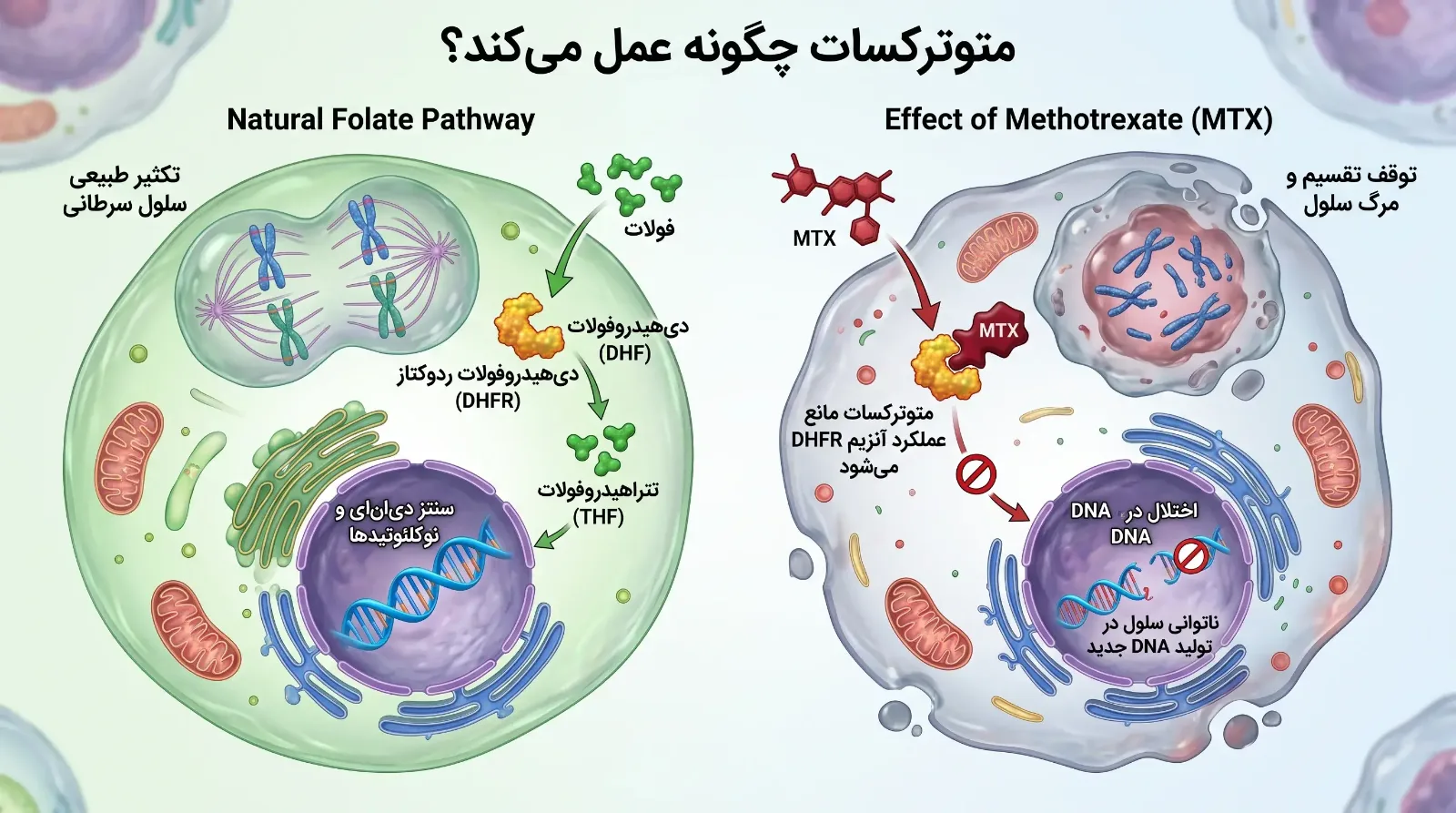 آمپول متوترکسات