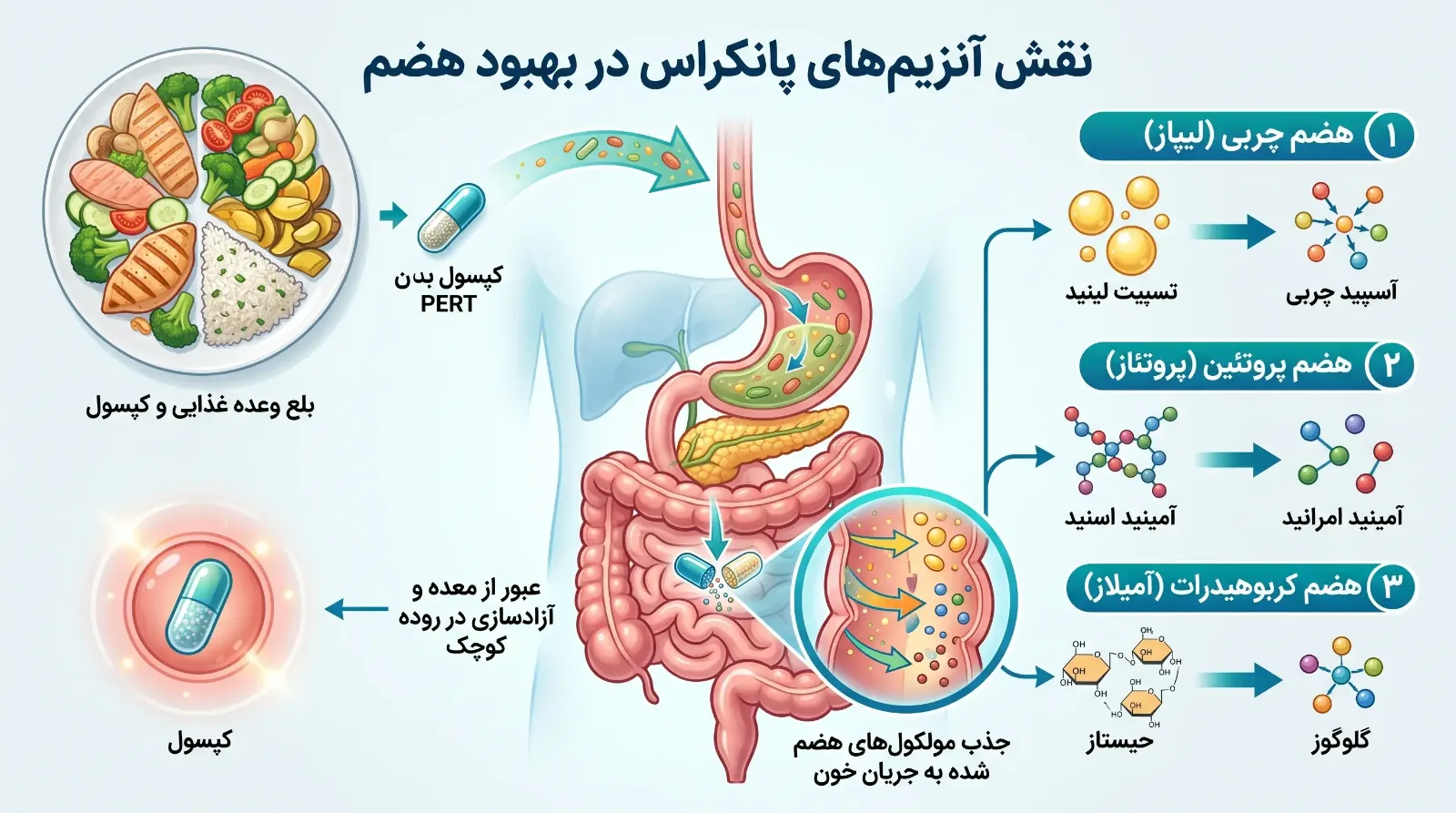 تغذیه در سرطان پانکراس
